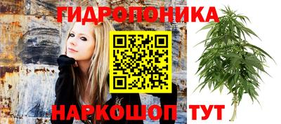 ECSTASY Кулебаки